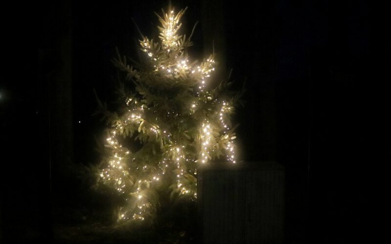 Weihnachtsbaum in Räderlooh