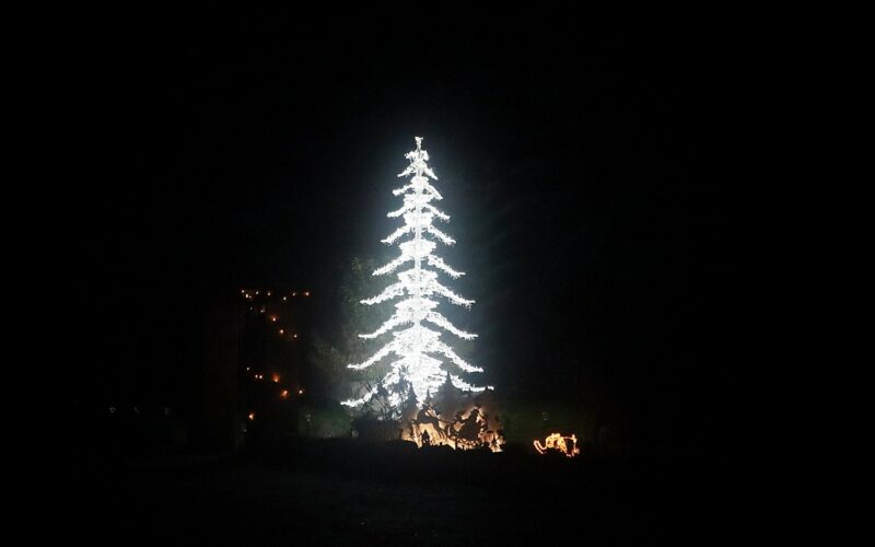 Na Logo: Steinhorster Weihnachtsbaum bei Nacht