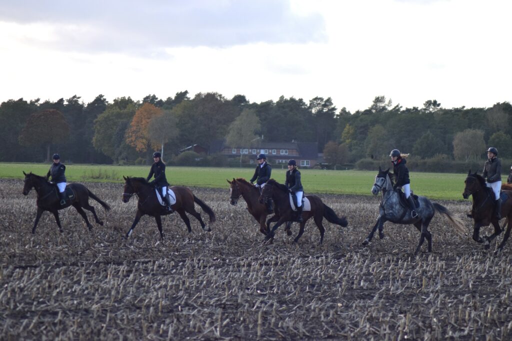 Hubertusjagd 2024 in Steinhorst & Umgebung