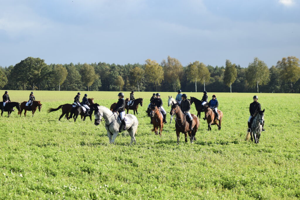 Hubertusjagd 2024 in Steinhorst & Umgebung