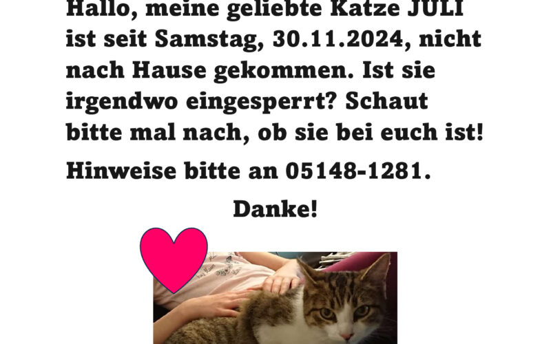 Vermisstenanzeige Katze 2024