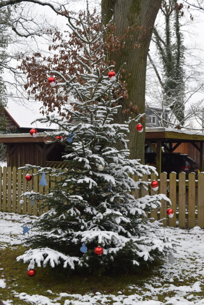 Schneebilder aus Lüsche von Vanessa Deckwer